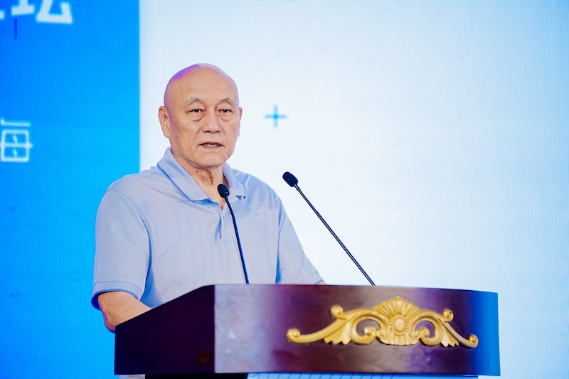 图3 中国商务广告协会会长 李西沙.jpg